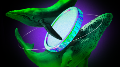 What Are Crypto Whales Buying After the Market Crash?