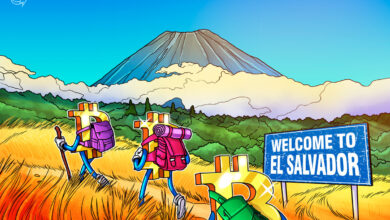 El Salvador acquired over 13 BTC since March 1, despite IMF deal