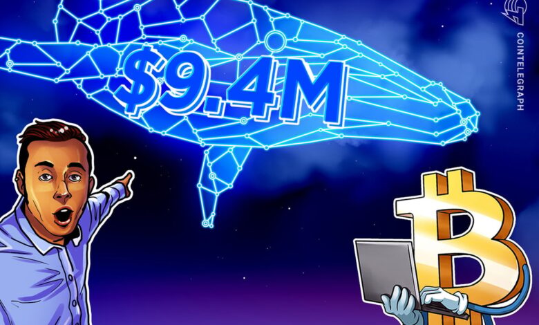 Whale closes 6M 40x Bitcoin short, pockets .4M profit in 8 days Whale closes 6M 40x Bitcoin short, pockets .4M profit in 8 days