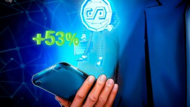 Stablecoin users grew 53% in one year: Report