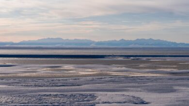 Biden administration lacked the authority to cancel oil and gas leases in Alaska refuge, judge rules