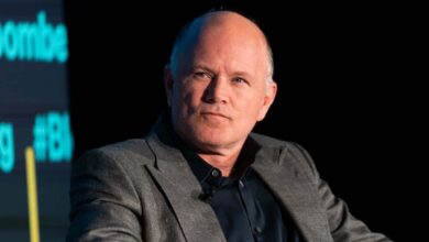 Mike Novogratz Shares Big Take