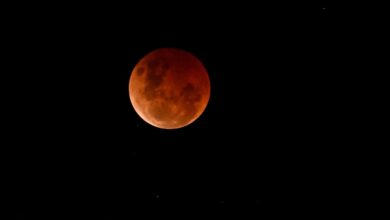 Blood moon 2025: How to get a glimpse of rare total lunar eclipse this week