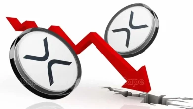 Lawyer Warns of Downward Pressure on XRP Price