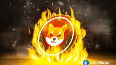 Shiba Inu Price Eyes 81% Upside With SHIB Burn Rate Rising
