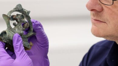 Melsonby Hoard: Yorkshire find reveals secrets of Britain’s ancient elites