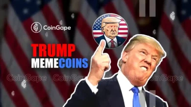 Why DOGE, SHIB and PEPE Outperformed BTC