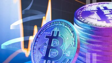 Why Is the Crypto Market Up? Will Bitcoin Price Crash Again?