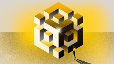 Top 3 BNB Meme Coins to Watch Closely This Week