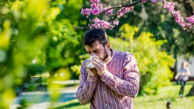 Pollen is expected to be bad in most states this spring – here is when the season will hit your neighborhood