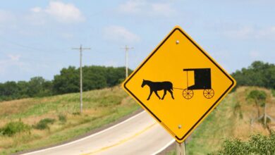 Girl, 8, and horse killed after ‘DUI driver’ crashes into Amish buggy in Michigan