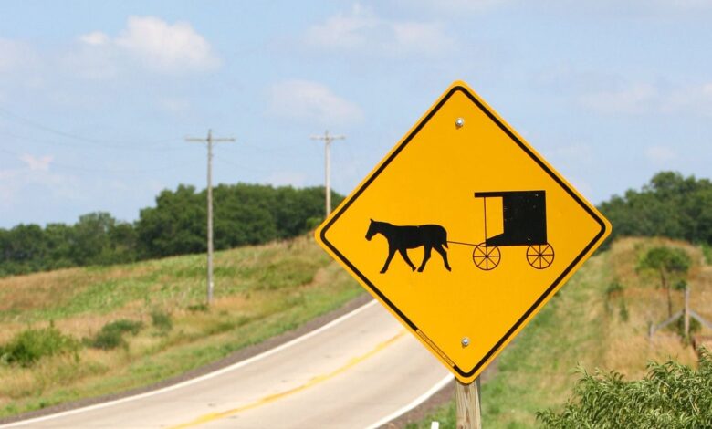 Girl, 8, and horse killed after ‘DUI driver’ crashes into Amish buggy in Michigan