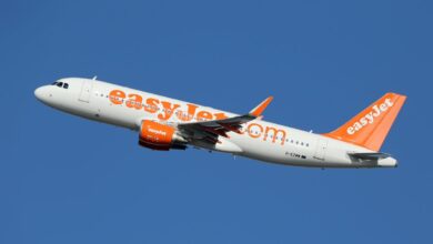 EasyJet flight chaos as two families brawl over Karate Kid film – forcing emergency landing