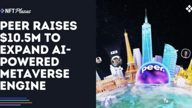 Peer Raises .5M to Expand AI-Powered Metaverse Engine