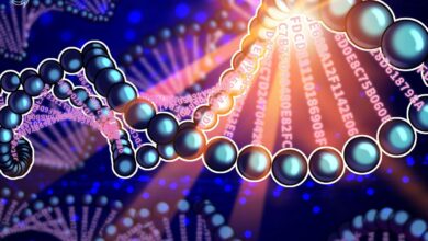 Blockchain projects fight for 23andMe user data amid bankruptcy