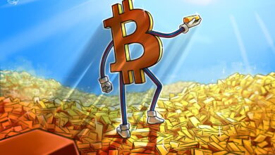 How do they stack up for investors?