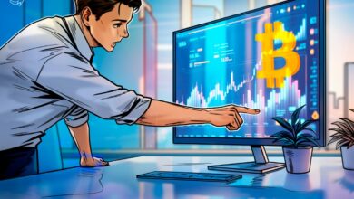 Bitcoin Price Discovery Driven By Unique Holder Phenomenon