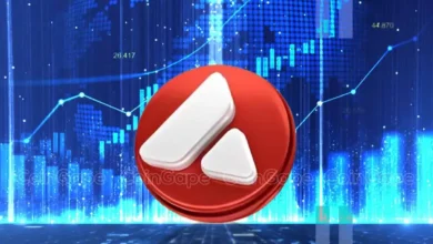 Expert Outlines Reasons Why Avalanche Will Revolutionize Traditional Finance