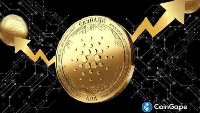 Cardano Bulls Secure Most Important Signal To Drive Price Rally