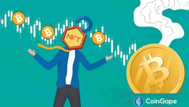 Here’s How a Crypto Trader Lost M on NFT