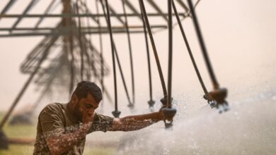 At least 1800 hospitalised in Iraq as sandstorm halts flights and triggers power outages