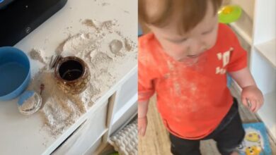 Toddler caught on TikTok eating his grandfather’s ashes