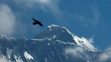 Famed Sherpa guide will attempt to climb Mount Everest for a 31st time and break his own record