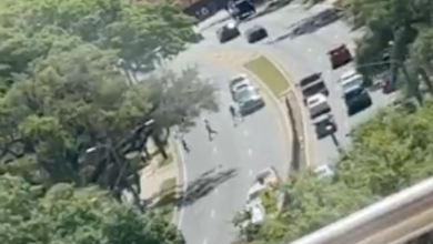 20-year-old student in custody at Florida State University: What we know about alleged shooter Phoenix Ikner