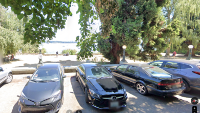 Neighbors demand answers after ‘rampant masturbation’ takes over Seattle park