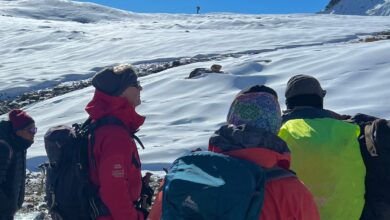 ‘No one wants travel insurance, but everyone needs it’ says founder of Go Walkabout