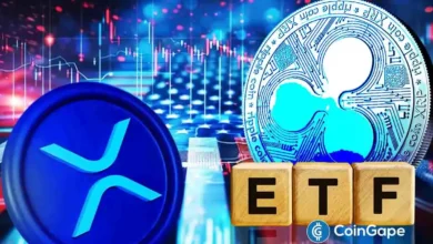 XRP ETF Approval Could Spark a ‘Perfect Storm’ for Ripple Coin: Expert