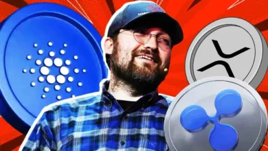 Cardano Founder Charles Hoskinson Reveals Backing For Ripple Coin