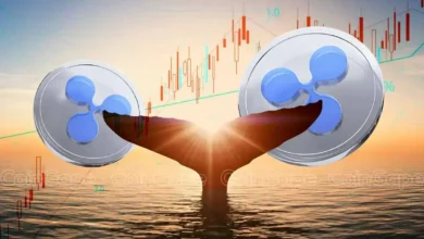 Ripple Whale Moves 5 Million To Binance, XRP Price To Dip Further?