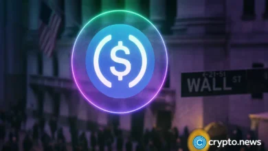 Stablecoins are almost at their iPhone moment: Circle CEO