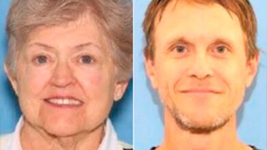 Handyman arrested in murder of 82-year-old grandmother found buried underneath a shed