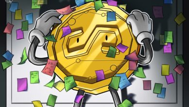 Canada ‘got it wrong’ labeling stablecoins securities — NDAX exec