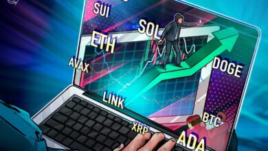 BTC, ETH, XRP, BNB, SOL, DOGE, ADA, SUI, LINK, AVAX