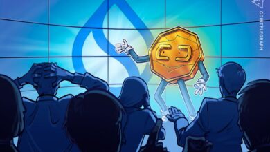 Sui vote on 2M Cetus funds ignites decentralization debate in DeFi