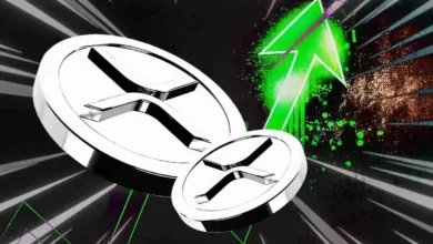 Bear Traders Deploy 0M Leverage as XRP/BTC Pair Flashes Risk Signal