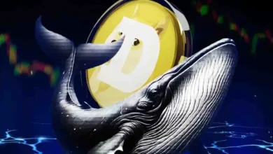 Here is Dogecoin Price If DOGE ETF Gets 30% to 50% of Bitcoin ETF Inflows