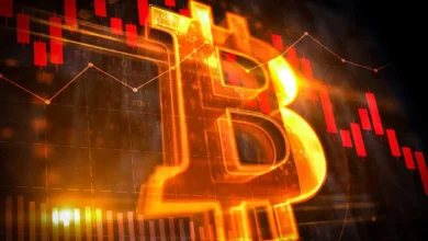 Bitcoin Maxi Says Long-Term BTC CAGR To Drop Under 10%, Here’s Why