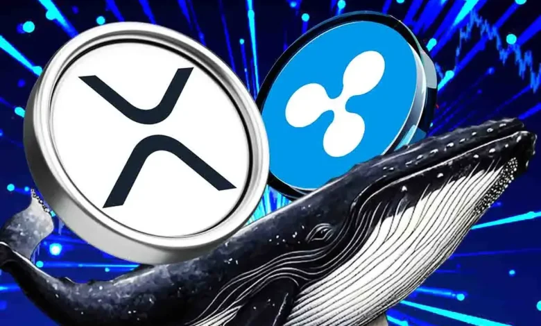 Ripple Whales Move 0M, XRP Price Rally Ahead? Ripple Whales Move 0M, XRP Price Rally Ahead?
