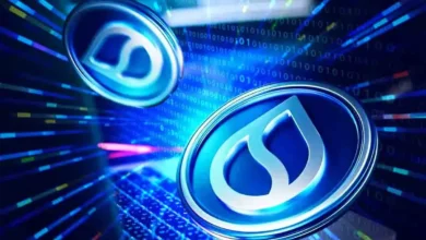 SUI Liquidity Provider Suffers 0M Hack, Cetus Offers M Bounty To Recover Funds