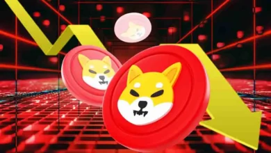 Shiba Inu Burn Rate Plummets 100%, Can SHIB Price Hold alt=
