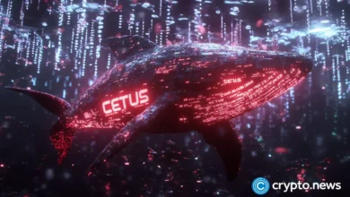 Cetus hack post-mortem reveals overflow bug behind 3m exploit