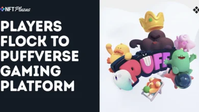 Players Flock To Ronin-Based Puffverse Gaming Platform