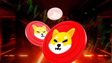 Shiba Inu Burn Rate Soars 9400% As Expert Predicts 105% Rally