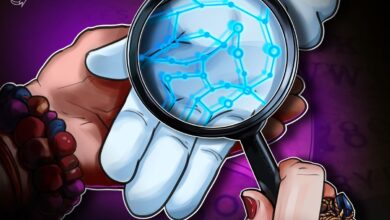 Bitcoin Knots May Cause Chain Split And Kill BTC Price