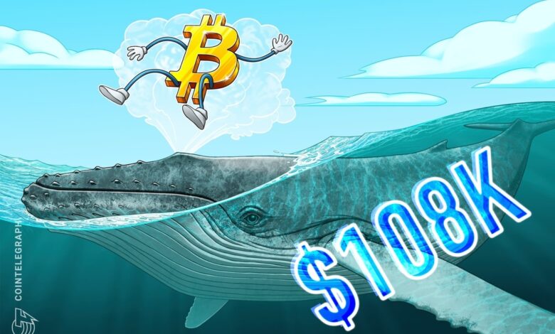 Bitcoin retakes 8K as millionaire whale goes 20x long on BTC price Bitcoin retakes 8K as millionaire whale goes 20x long on BTC price