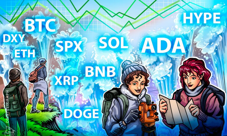 Bitcoin and altcoins could seek new all-time highs this week Bitcoin and altcoins could seek new all-time highs this week